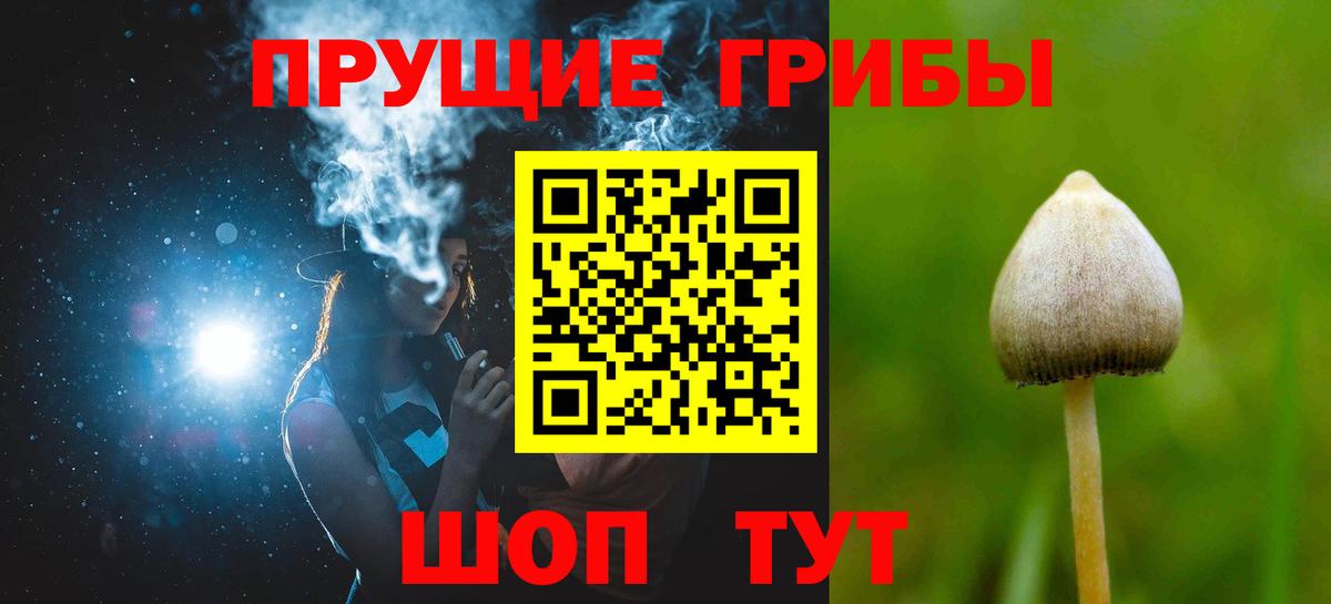 Заринск  Галлюциногенные грибы прущие грибы  Вход с VPN 